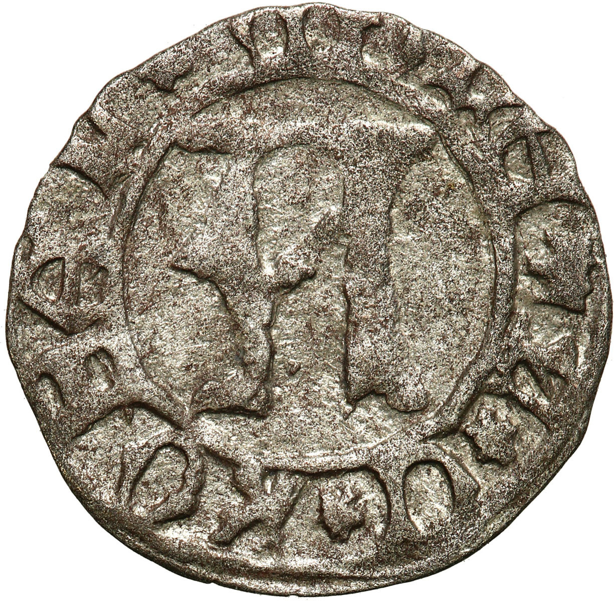 Śląsk, Księstwo Ziębickie. Wilhelm Opawski (1433-1452). Halerz po 1439 r., Ziębice - RZADKOŚĆ R6